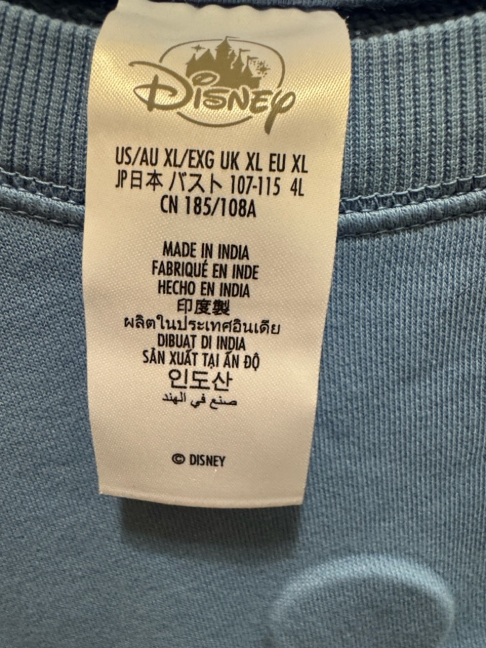NWT 2026 Women’s Mickey Mouse Walt Disney World Pullover Sweatshirt XL - Picture 7 of 11